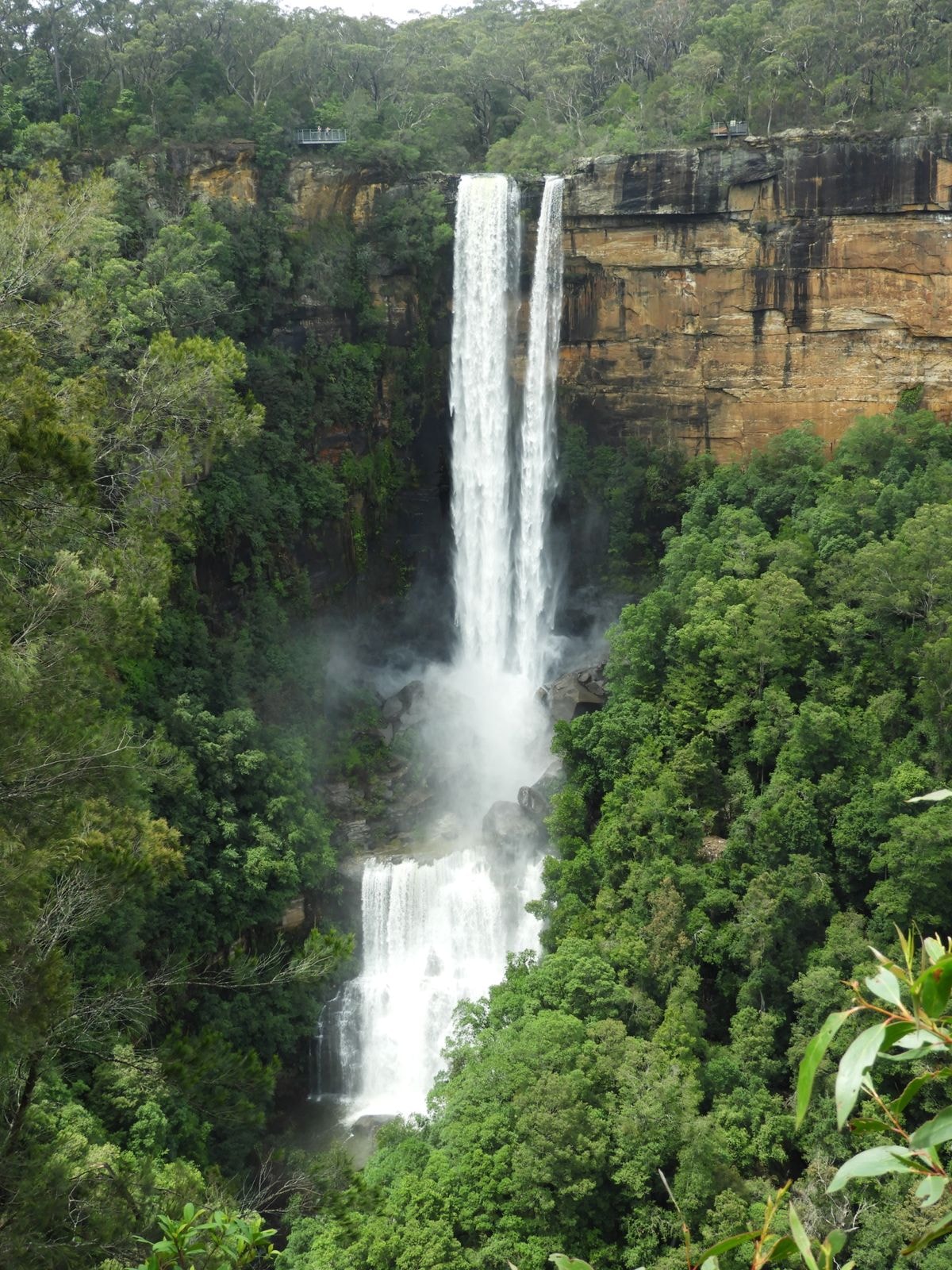 A tall waterfall dropping into rainforest near the retreat