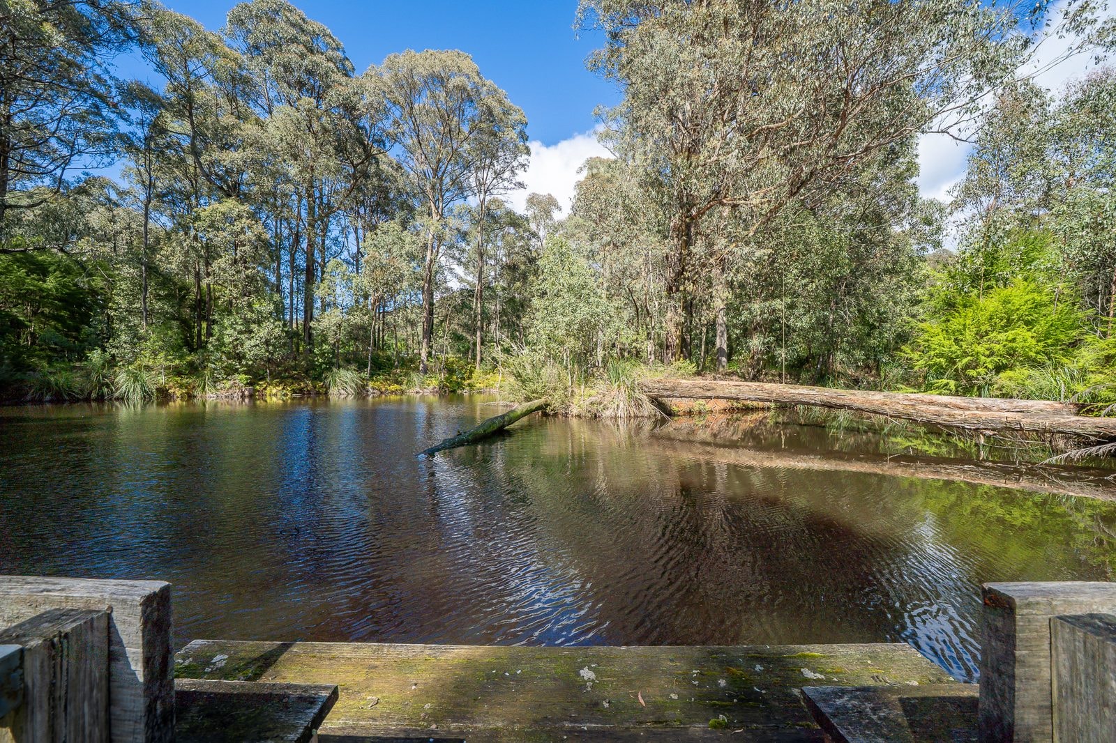 Vic Creek